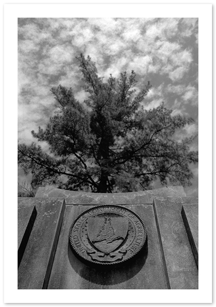 United States National Arboretum Gate, Washington, DC