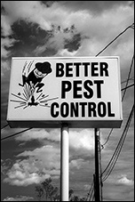 Better Pest Control, Alexandria, VA