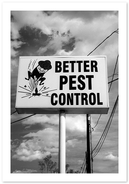 Better Pest Control, Alexandria, VA