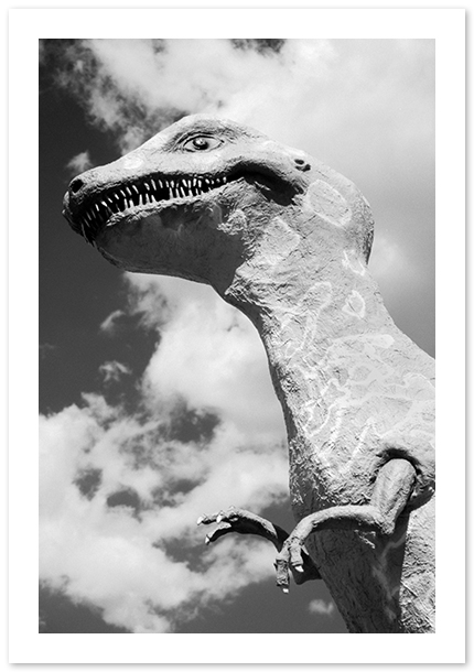 Dinosaur Land, Tyrannosaurus Rex, James Sidwell, White Post, VA