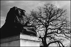 Grant Memorial Lion, Washington, DC