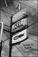 Rudd's Pest Control, Annapolis, MD