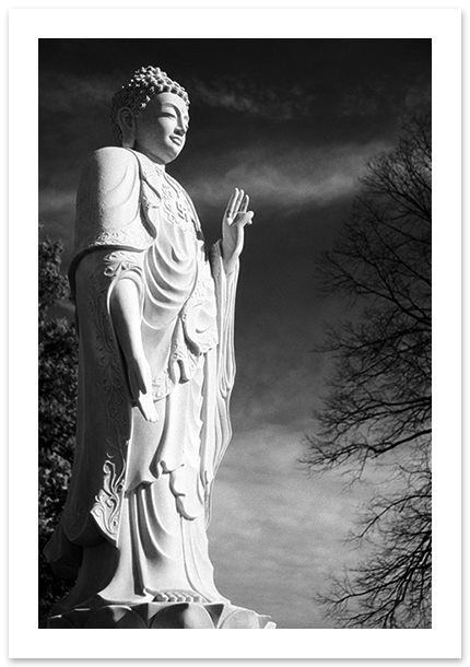 Buddha, Falls Church, VA