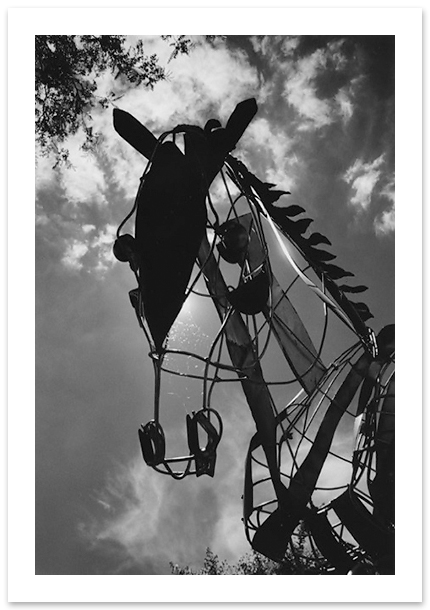 Horse, Sergio Alvarez, Arnold, MD